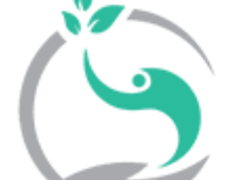 silver-logo